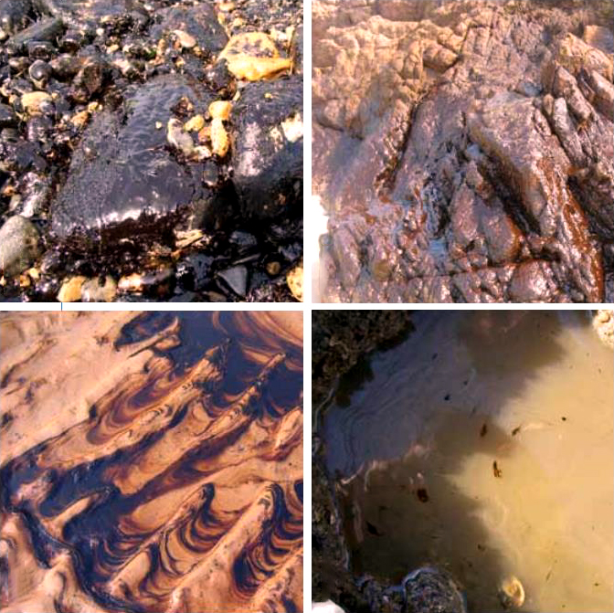 oil sludge pyrolysis plant.